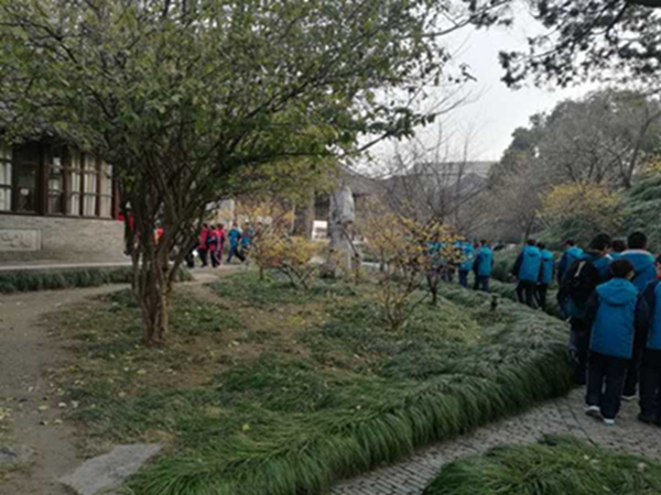 12.孩子们参观梅花岭.jpg