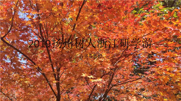w.jpg