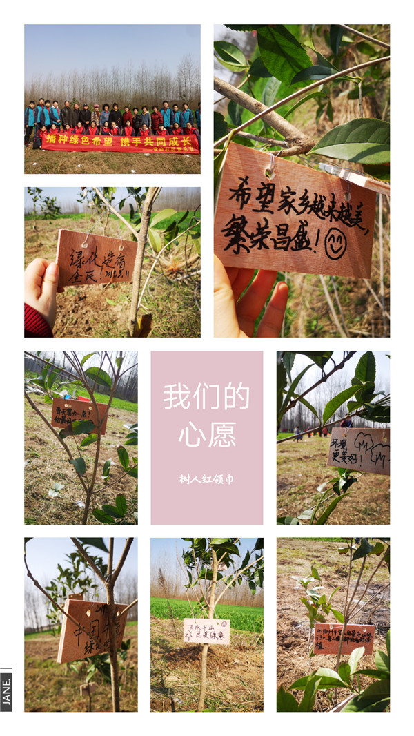 47红领巾心愿.jpg