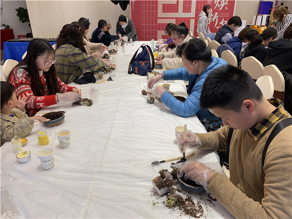 认真种植多肉.jpg