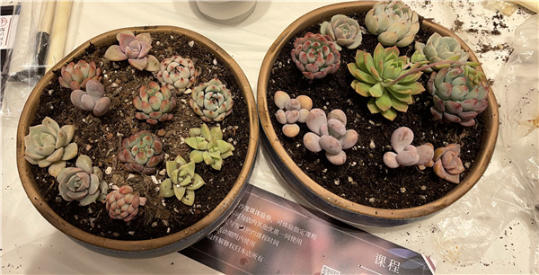 我们的成品.jpg